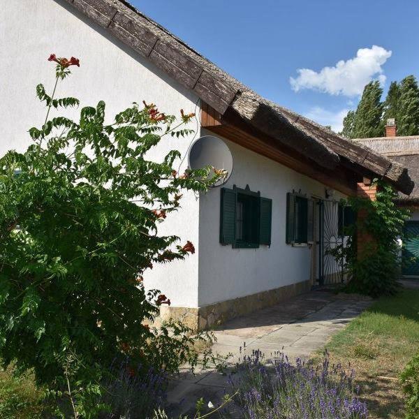 Boroka Tanya Villa Orgovany Bagian luar foto