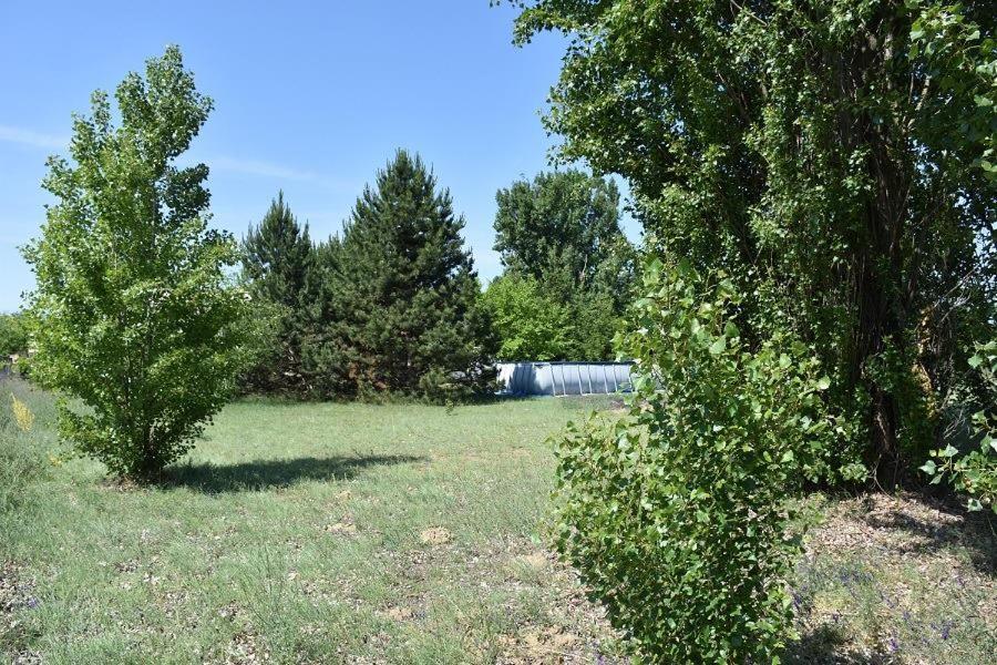 Boroka Tanya Villa Orgovany Bagian luar foto